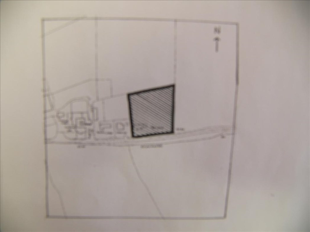 Plot