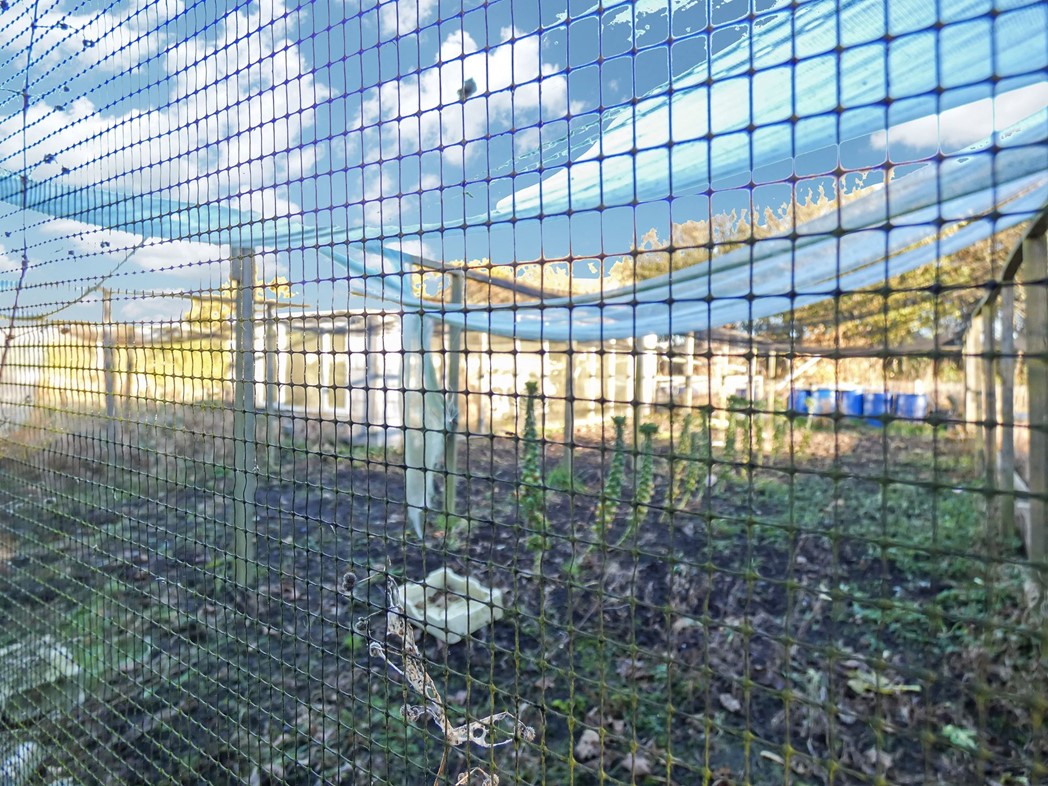 Property image 29 of 38