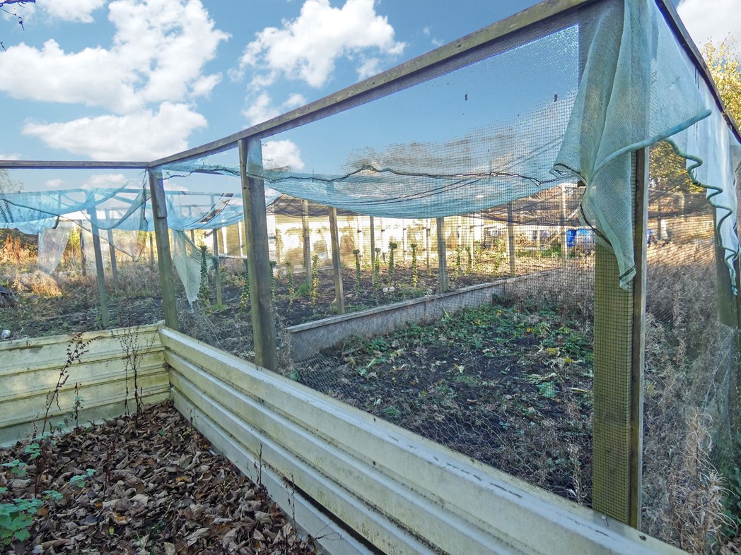 Property image 31 of 38