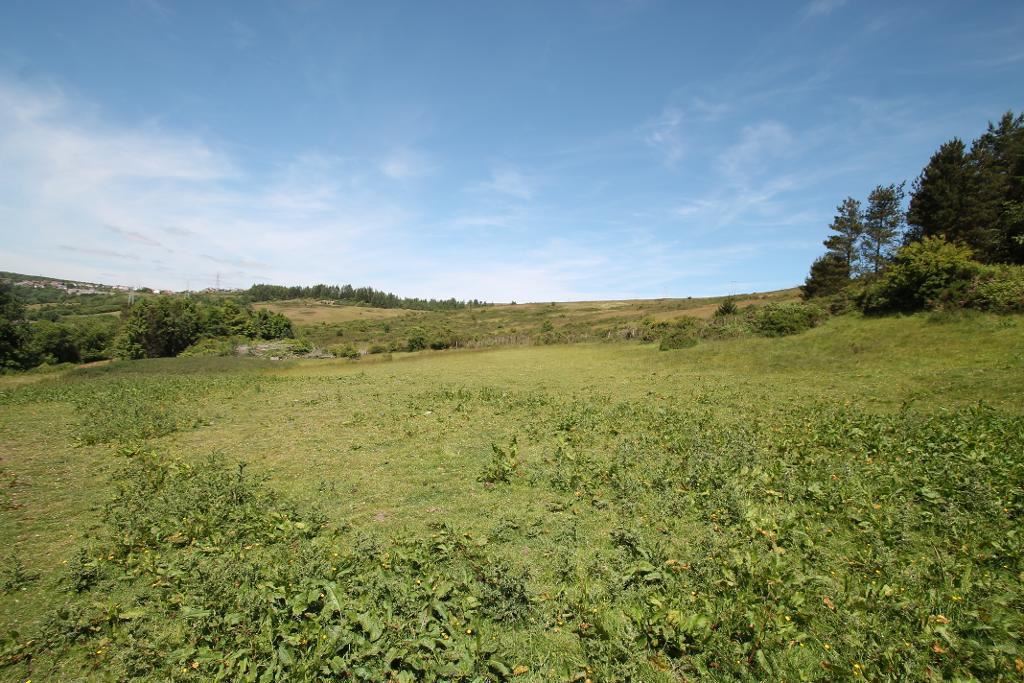 Property image 4 of 13