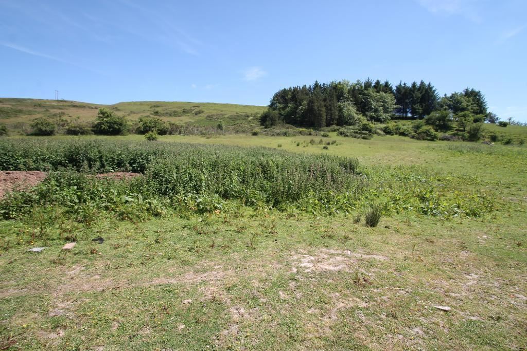 Property image 12 of 13