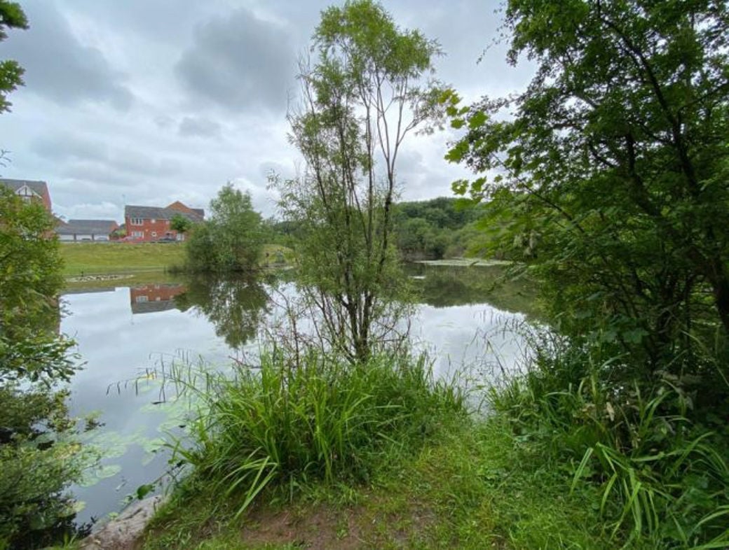 Property image 21 of 28