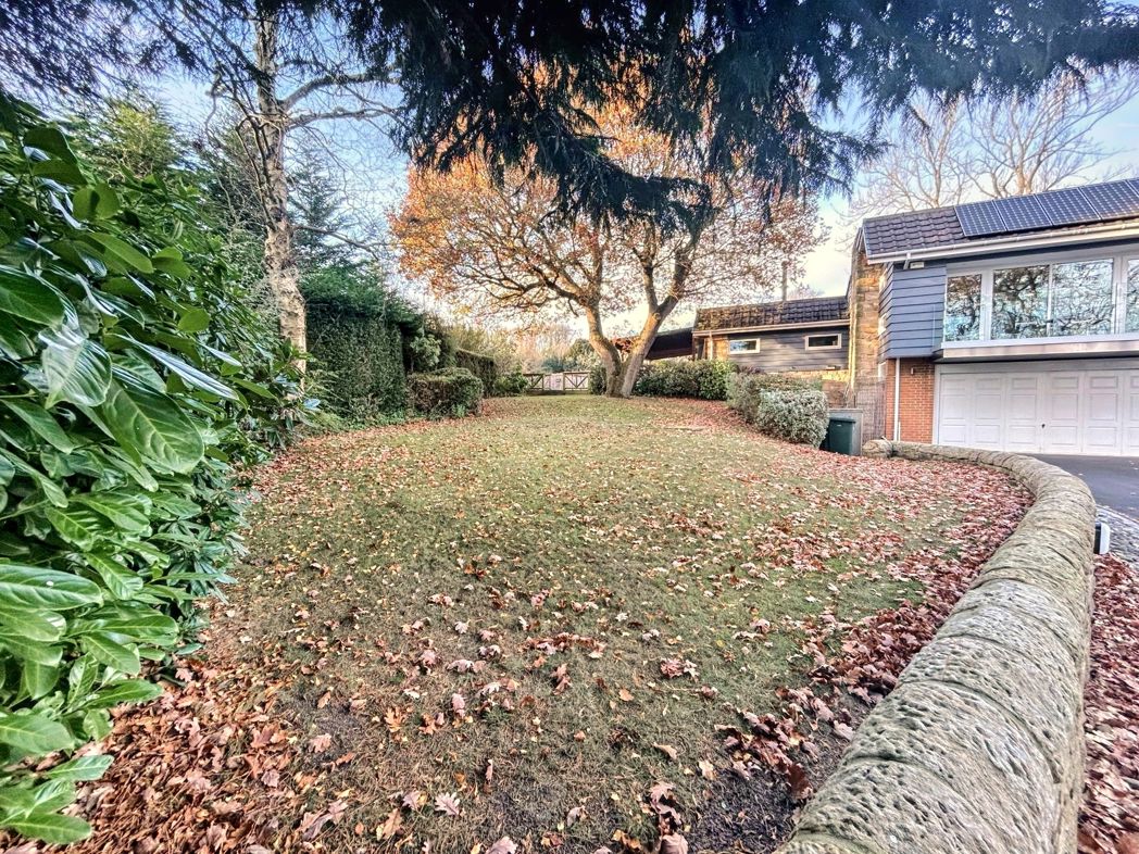 Property image 50 of 56
