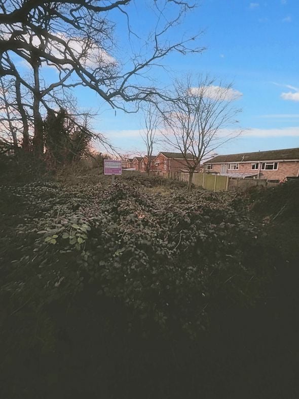 Property 1