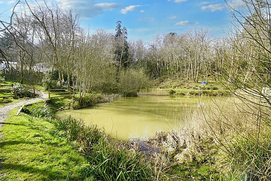 Property image 13 of 13
