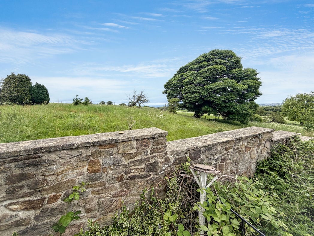 Property 22