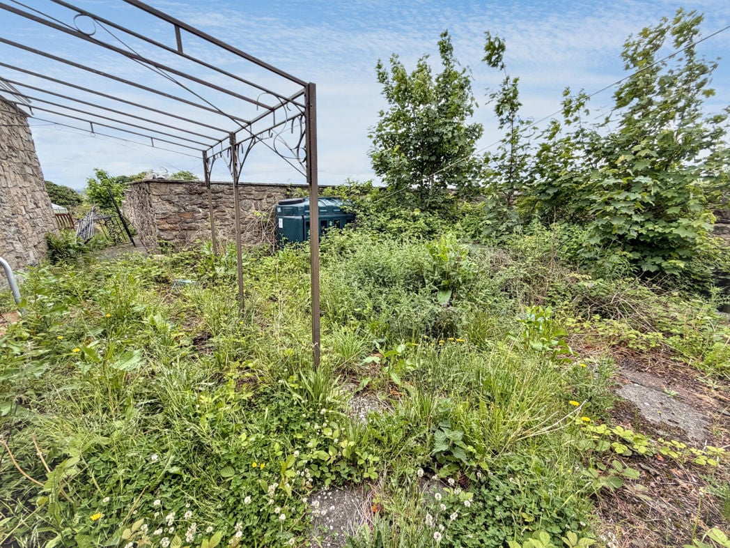 Side garden