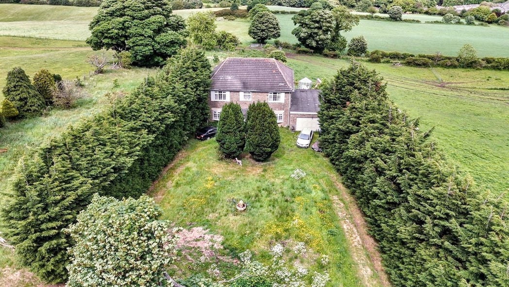 Front garden and driveway