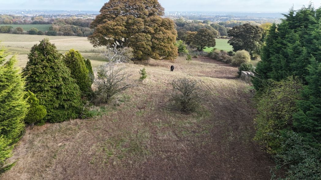 Property image 40 of 51