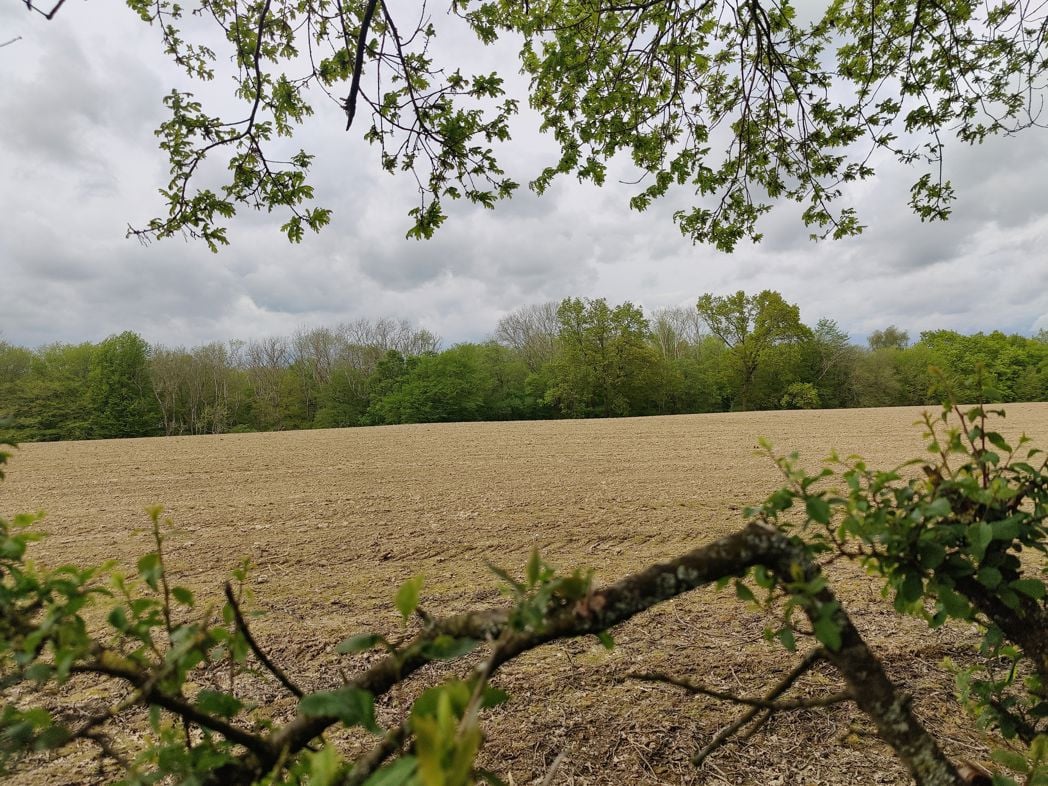 Property image 2 of 4