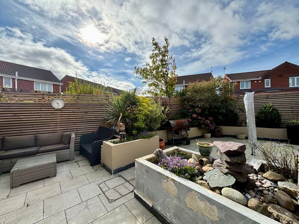 Another Garden Photo