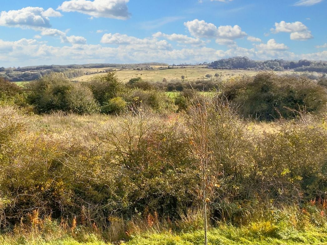 Property image 16 of 19
