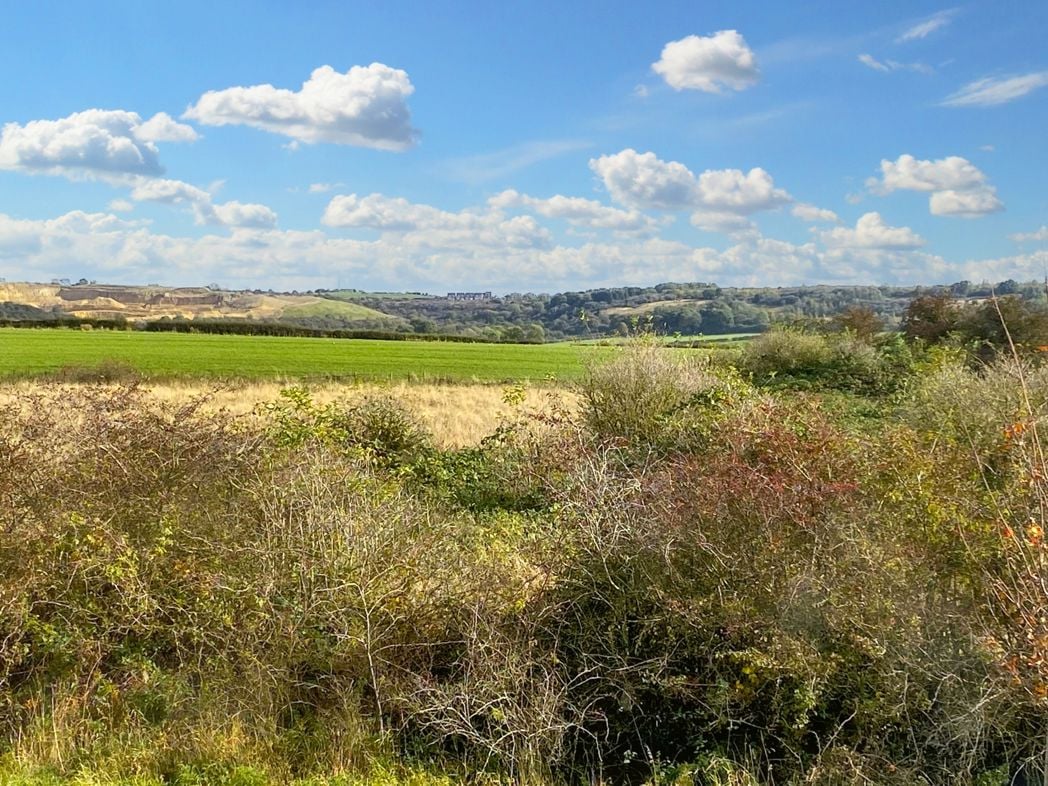 Property image 17 of 19