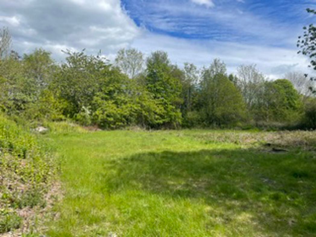 Property 30