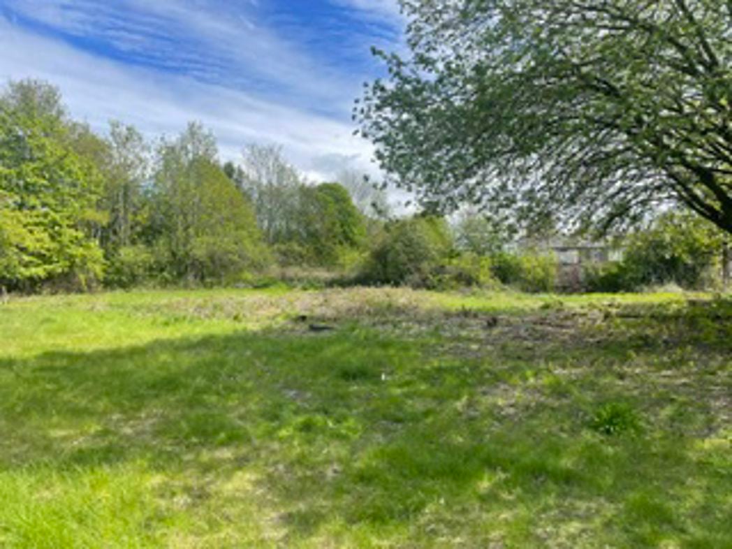Property 31