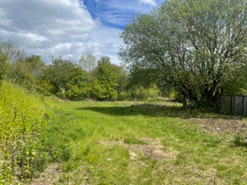 Property 32