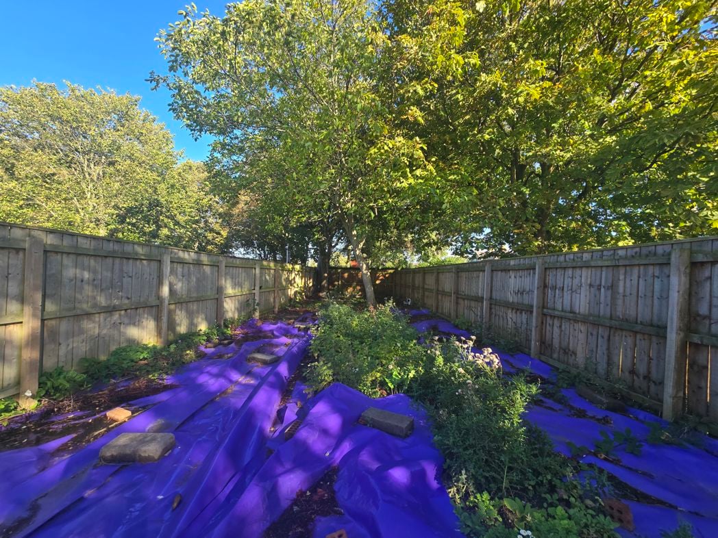 Property image 35 of 39