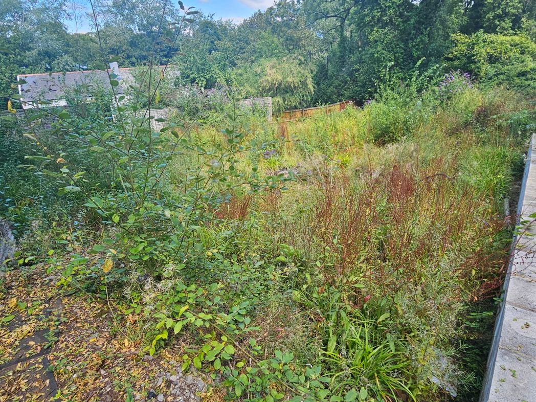 Property image 7 of 8