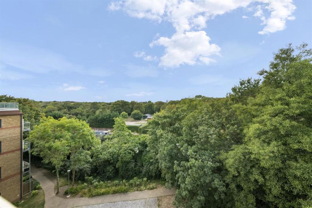 Property image 12 of 15