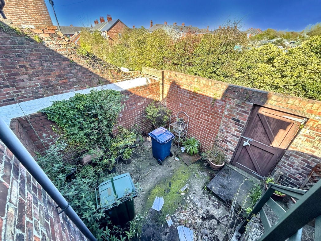 Rear Yard