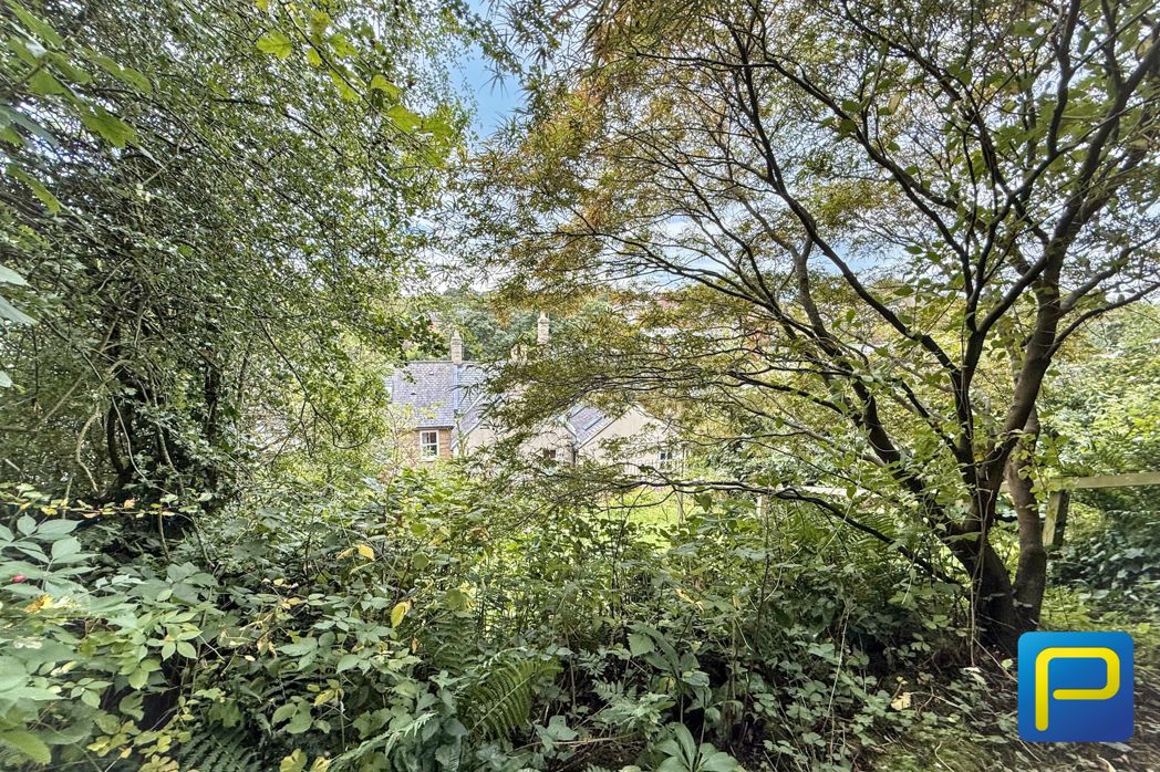 Property 29