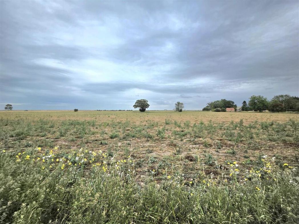 Property image 23 of 33