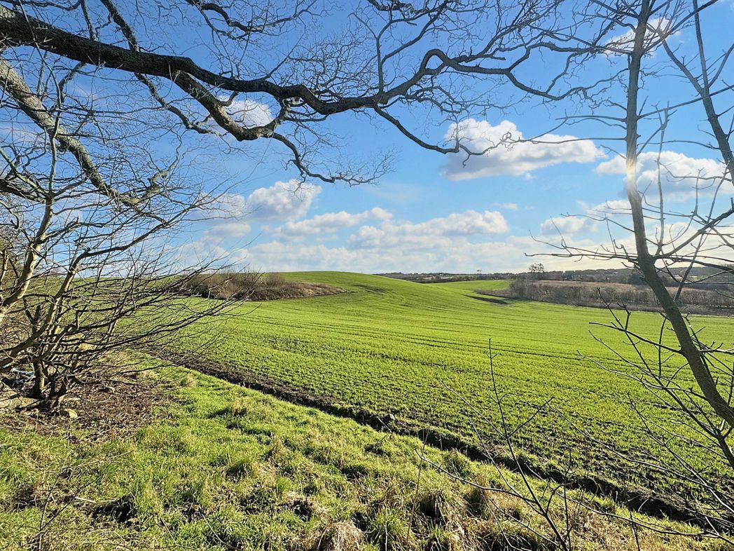 Property image 33 of 39