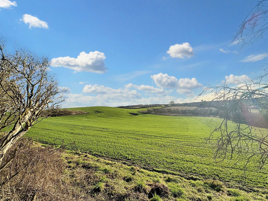 Property image 35 of 39