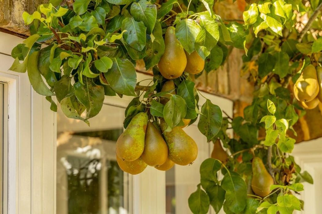 Property image 41 of 54