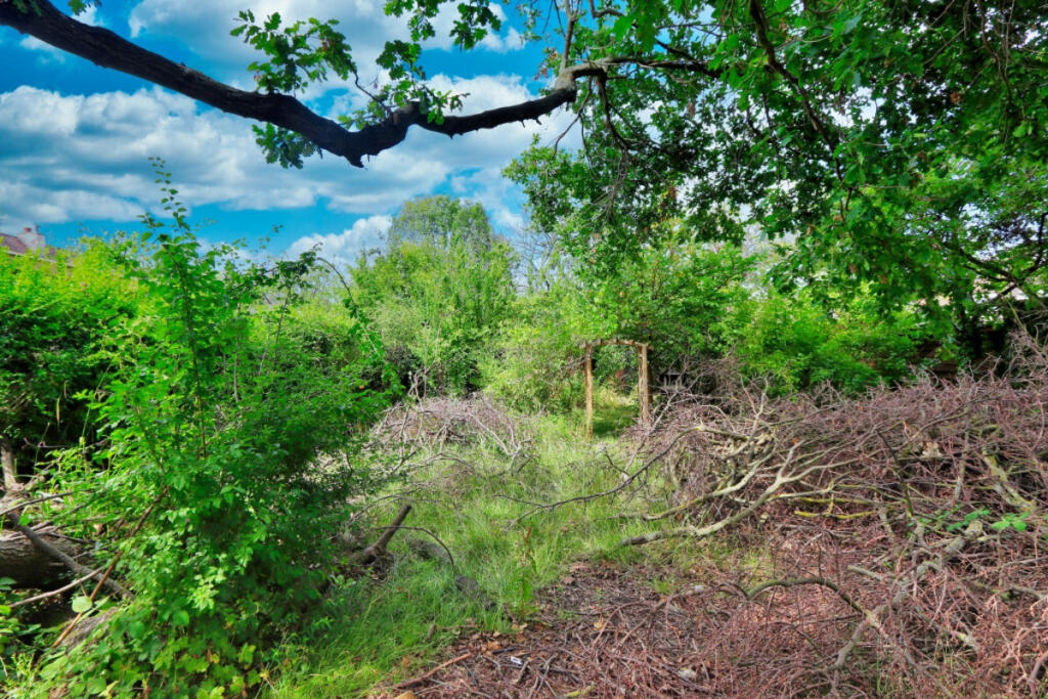 Property image 5 of 14