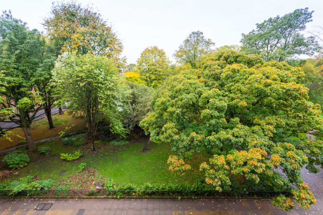 Property image 12 of 12
