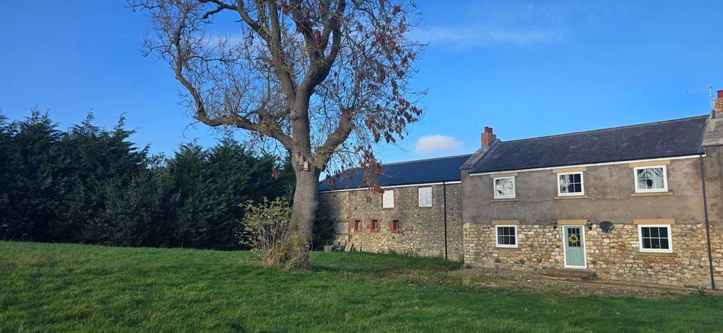 Property 31