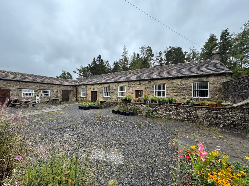 Property 36
