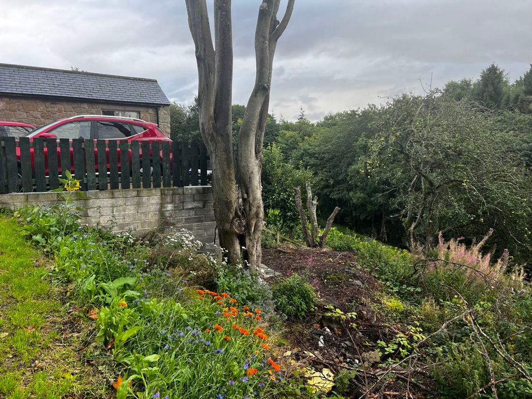Property image 12 of 17