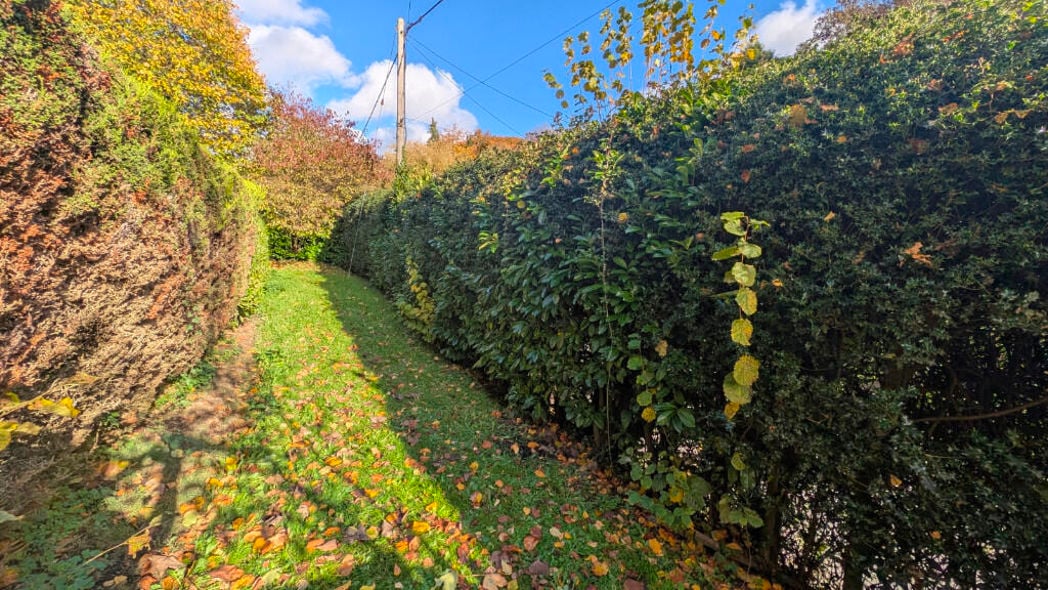 Property image 8 of 9