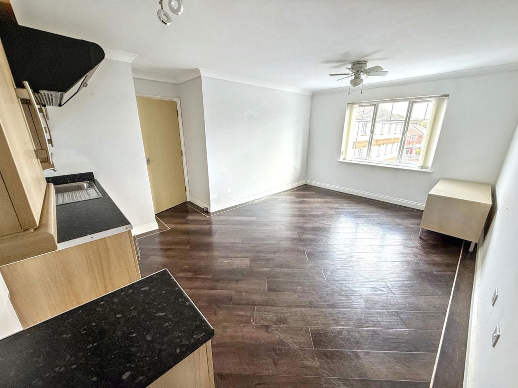 Living/Kitchen Area