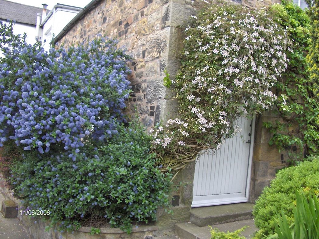 Property image 9 of 39