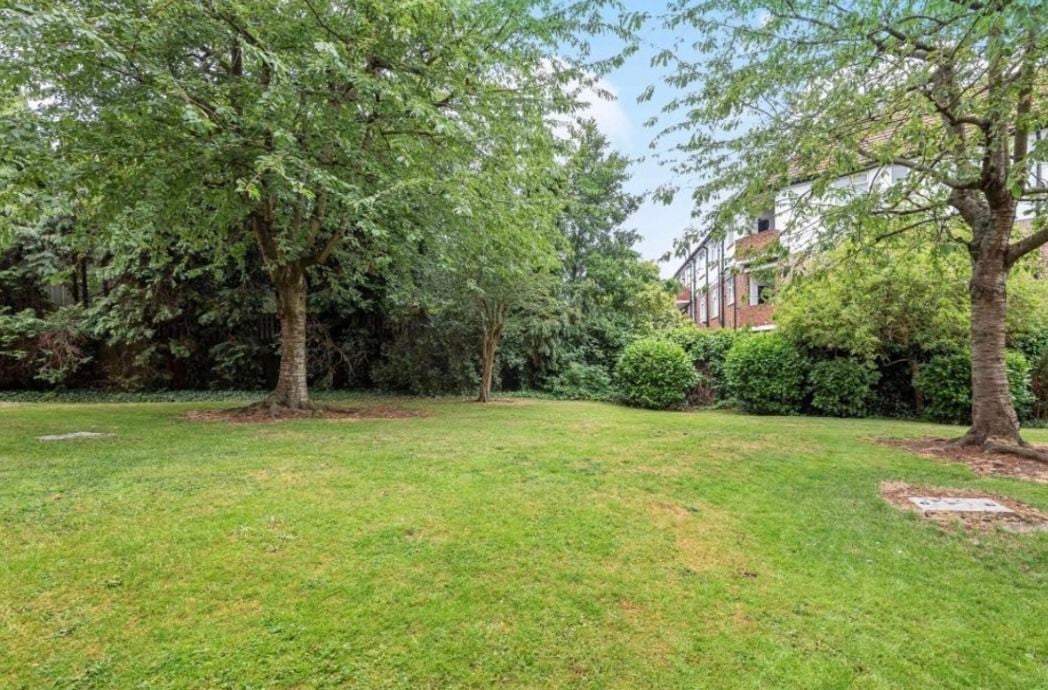 Property image 7 of 8