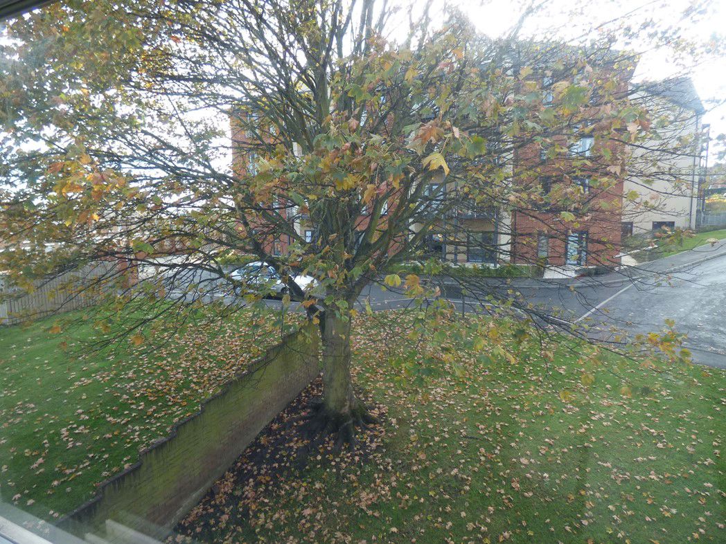 Property image 7 of 8