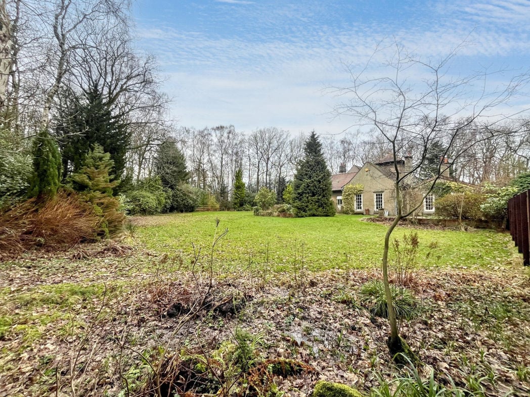 Birchwood, Morpeth, Northumberland, NE61 6AG