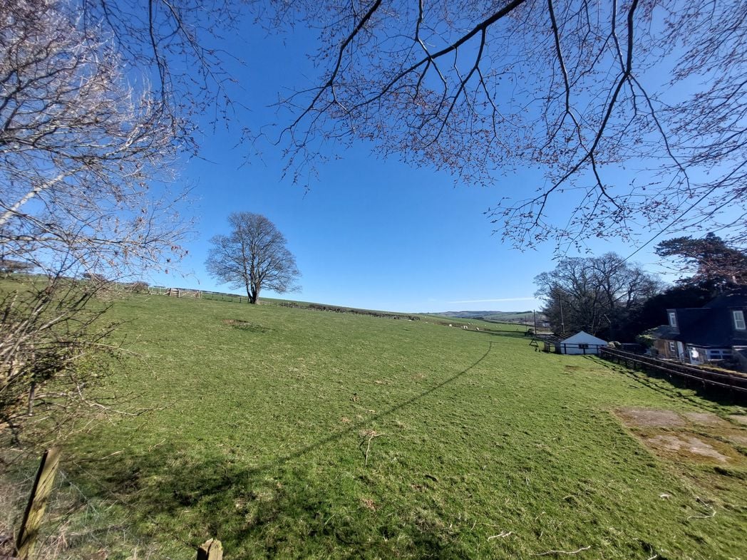 Property 29