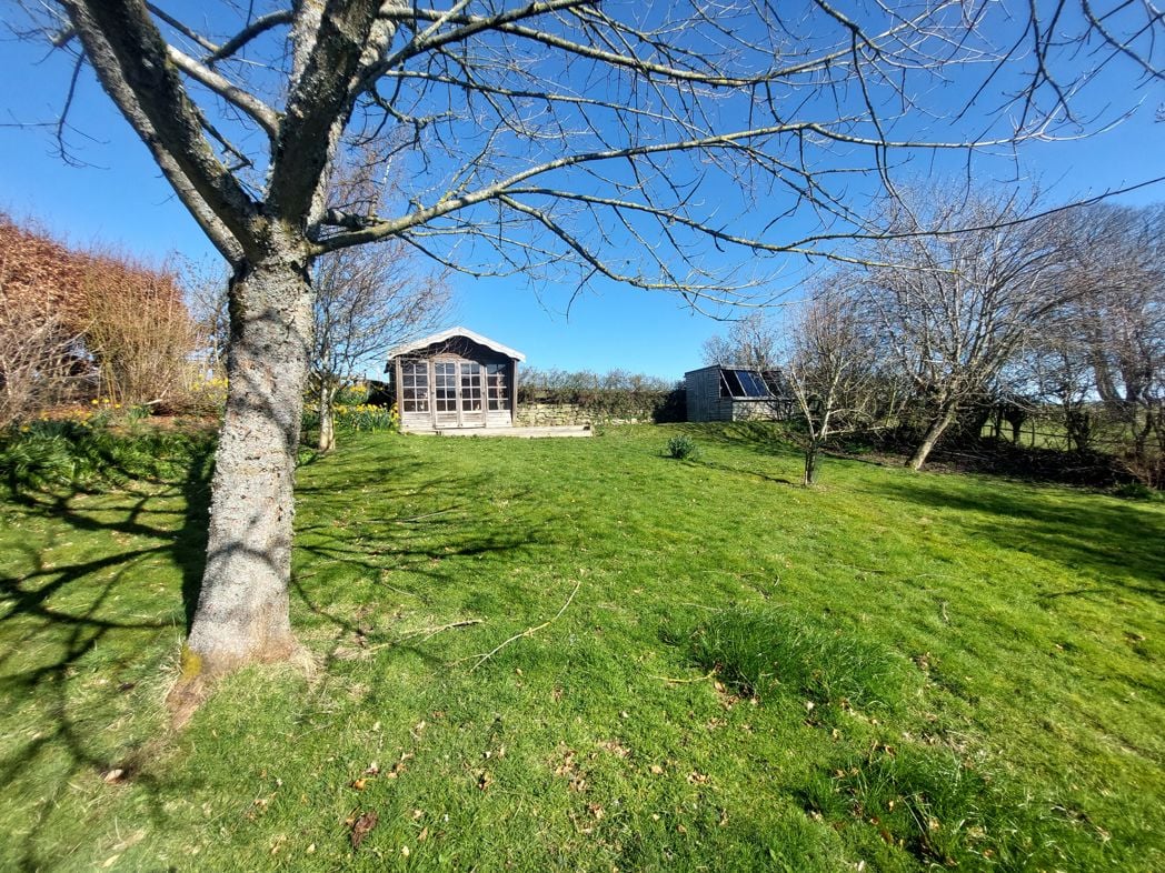 Property 36