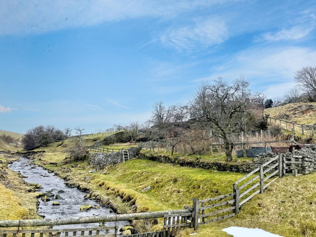 Bottom Garden