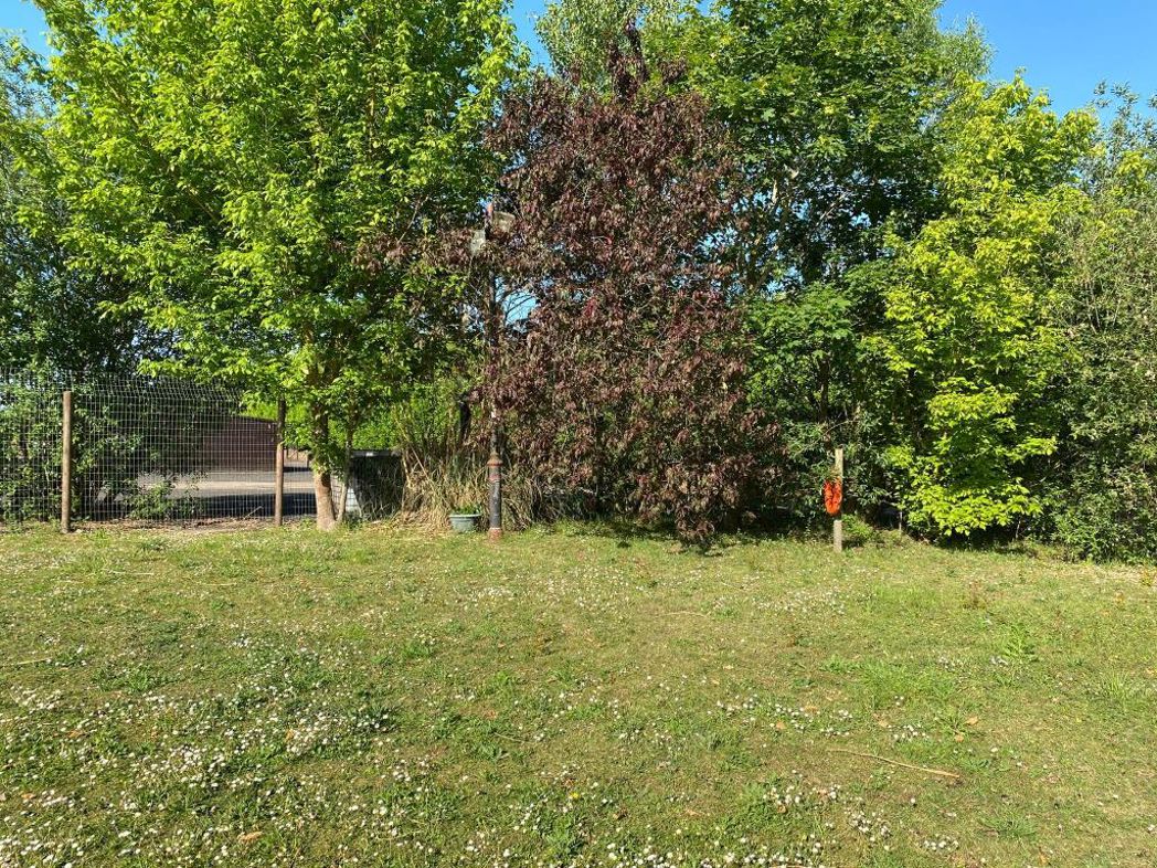 Property 16