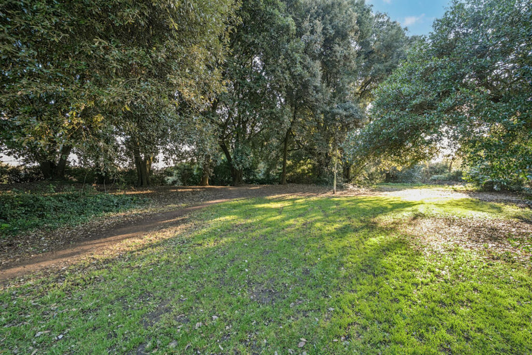 Property image 14 of 15