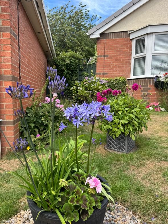 Property image 28 of 37