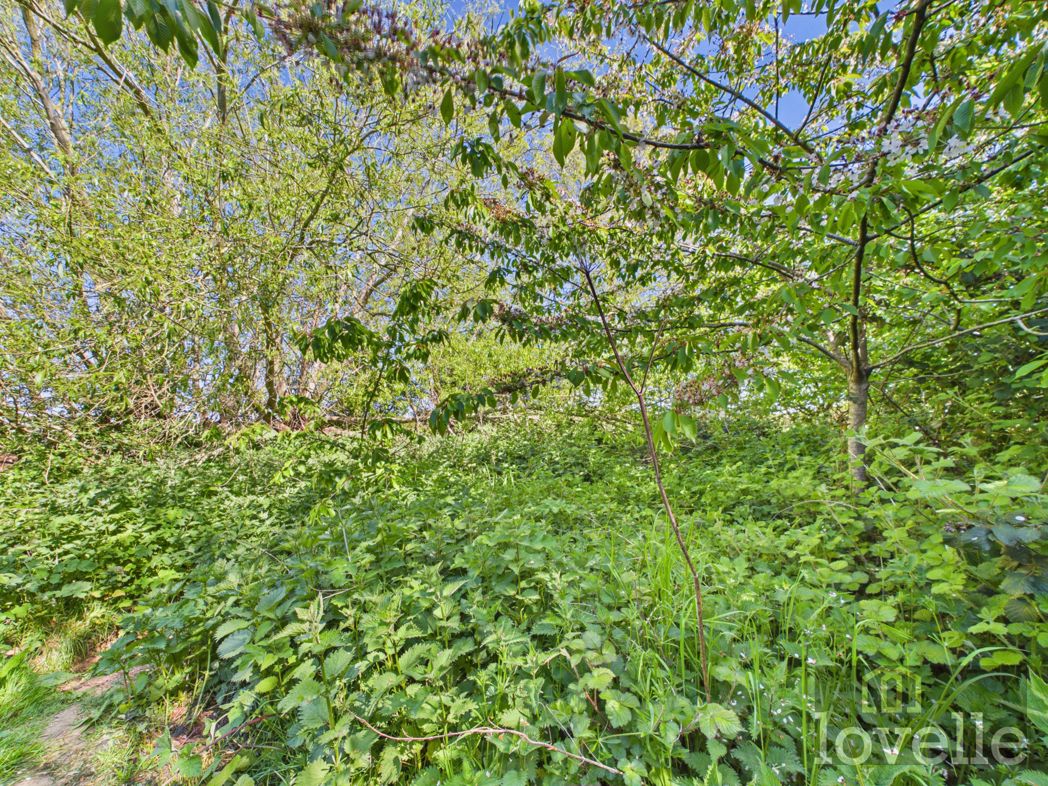 Property image 17 of 18