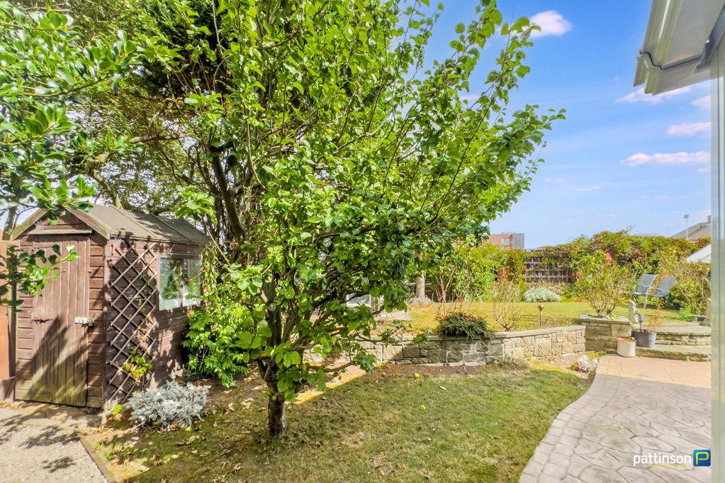 Property 28