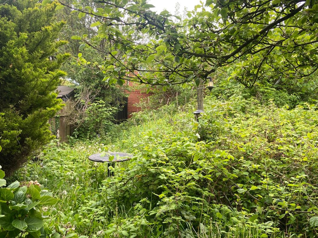 Property image 18 of 21