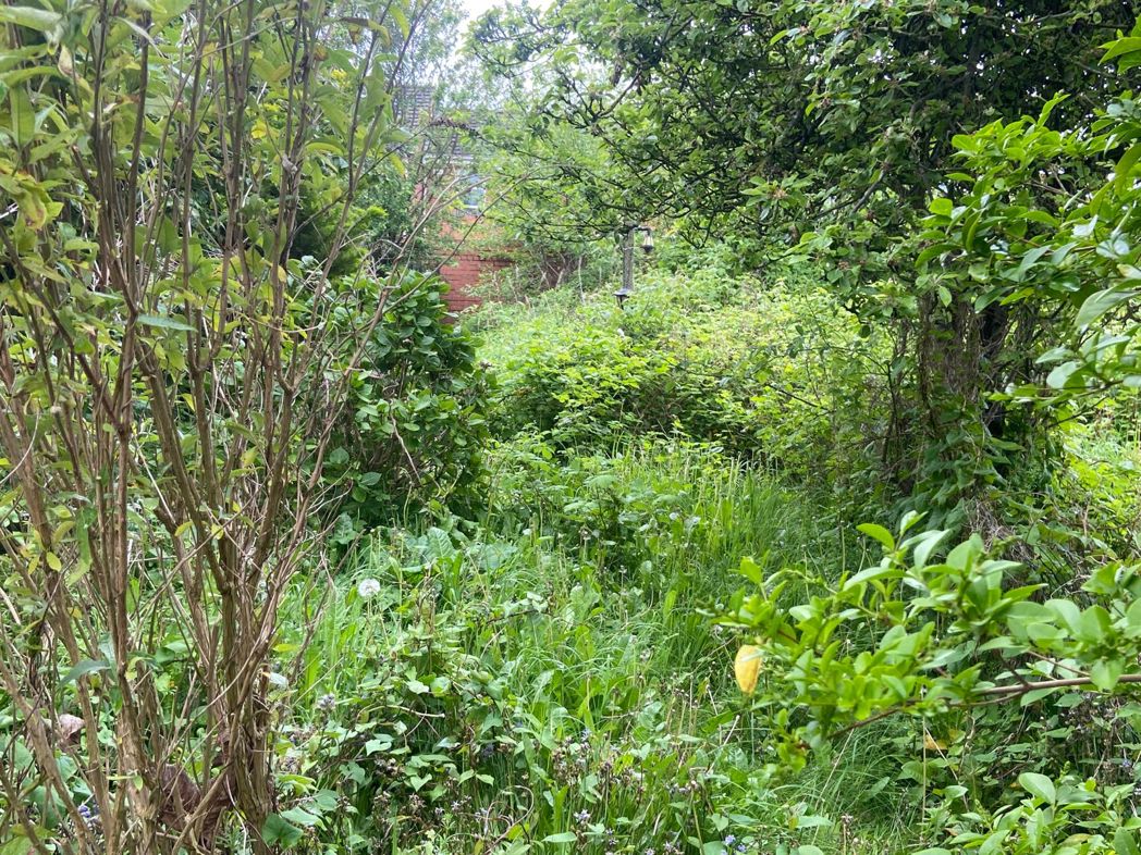 Property image 19 of 21